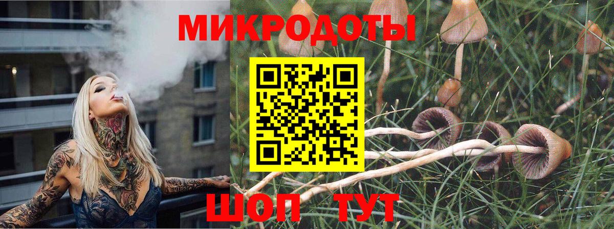 Псилоцибиновые грибы Cubensis  Вход с VPN  Галлюциногенные грибы GOLDEN TEACHER  Каменка 