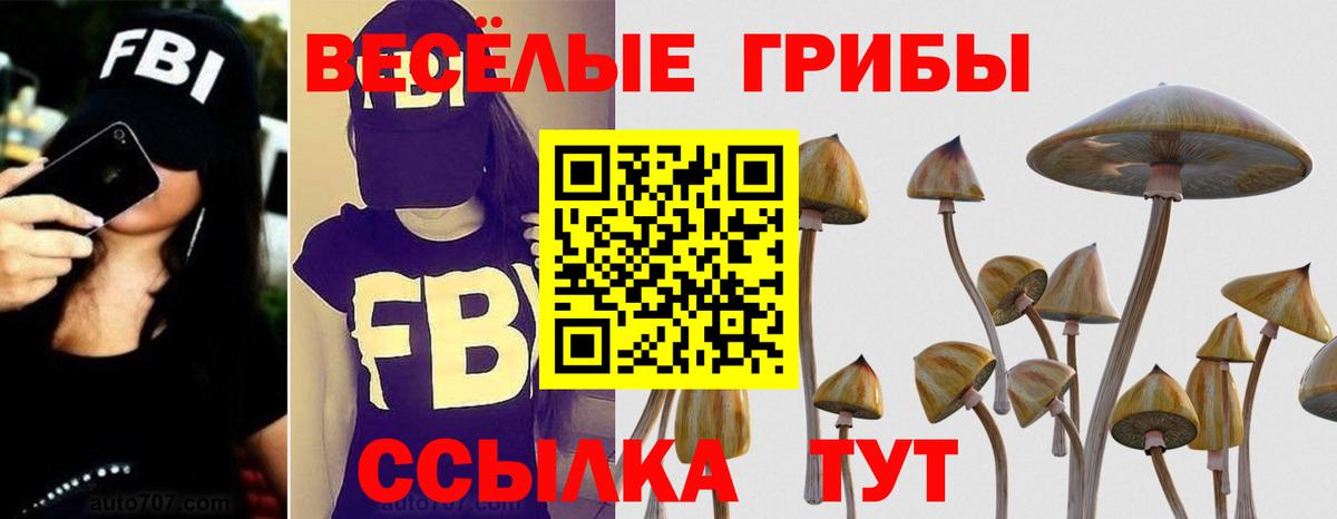 Галлюциногенные грибы прущие грибы Каменка